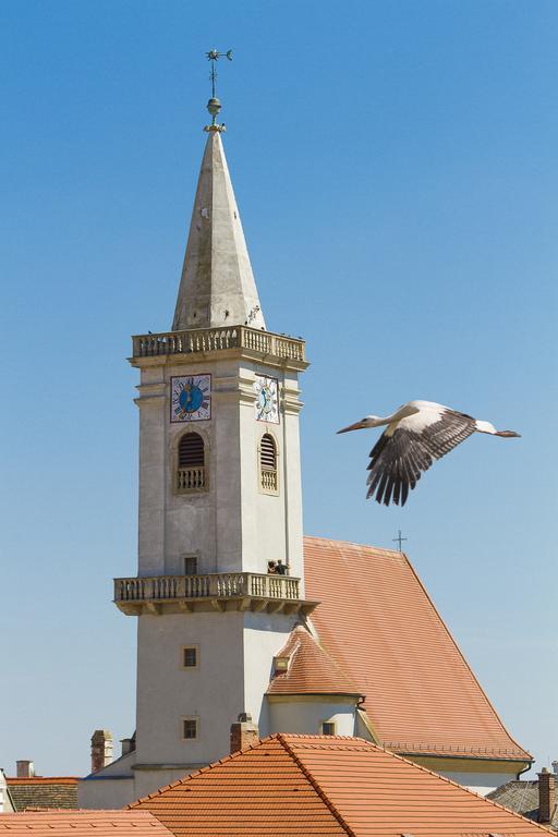 Unser Rosa Haus Fuer Sie Rust Oda fotoğraf